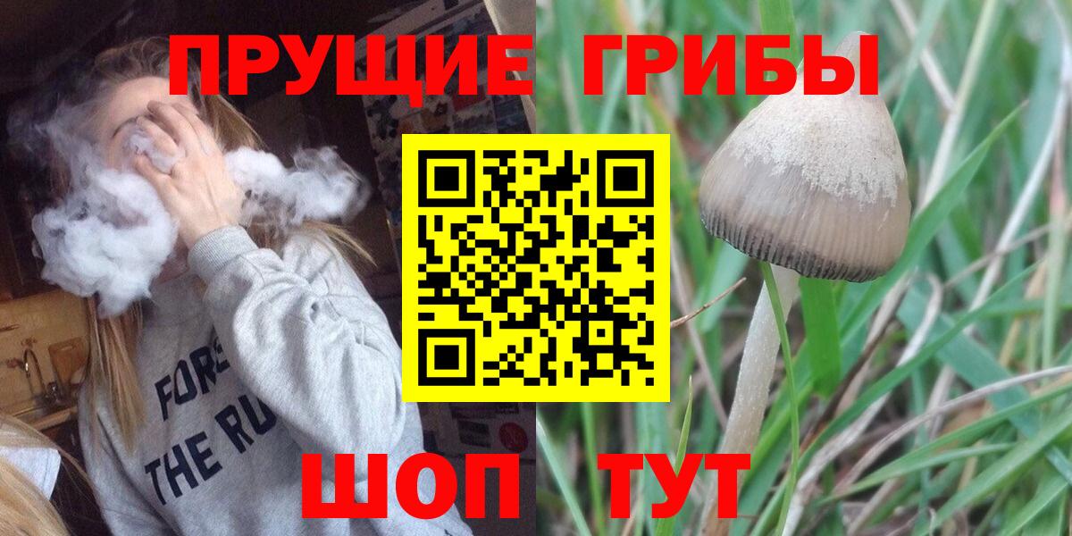 Псилоцибиновые грибы GOLDEN TEACHER Кириши