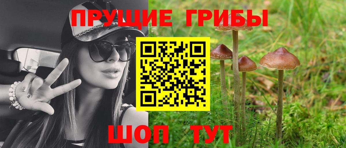 Кириши  Галлюциногенные грибы ЛСД  Вход с VPN  Псилоцибиновые грибы Magic Shrooms 